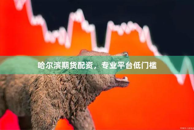 哈尔滨期货配资，专业平台低门槛