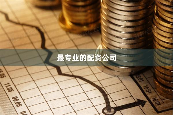 最专业的配资公司
