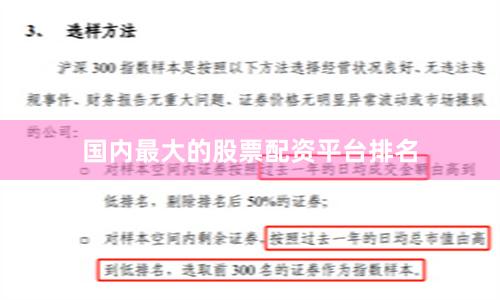 国内最大的股票配资平台排名