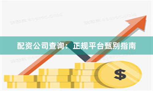 配资公司查询：正规平台甄别指南